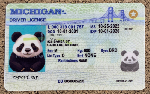 Michigan scannable card