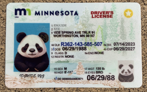 Minnesota scannable card