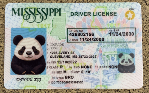 Mississippi scannable card
