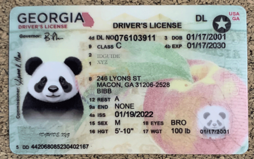 Georgia scannable card